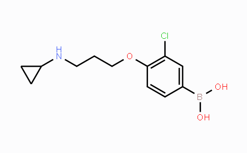 CAS No. 1704096-89-8, (3-Chloro-4-(3-(cyclopropylamino)propoxy)phenyl)boronic acid