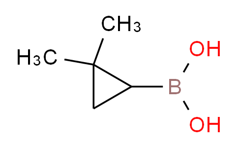1089708-34-8 | (2,2-Dimethylcyclopropyl)boronic acid