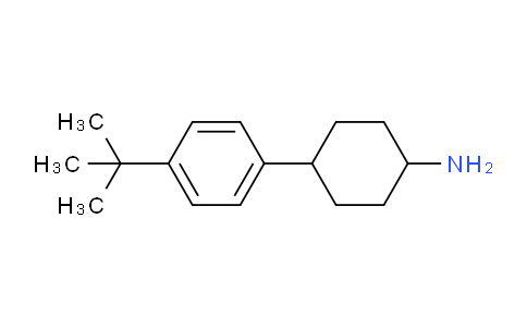 1369011-12-0 | 4-(4-叔丁基苯基)环己-1-胺