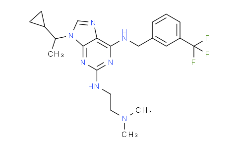 2342583-66-6 | 9-(1-环丙基乙基)-N2-(2-(二甲基氨基)乙基)-N6-(3-(三氟甲基)苄基)-9H-嘌呤-2,6-二胺