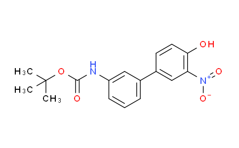 DY180T02 | 1261970-39-1 | tert-butyl N-[3-(4-hydroxy-3-nitrophenyl)phenyl]carbamate