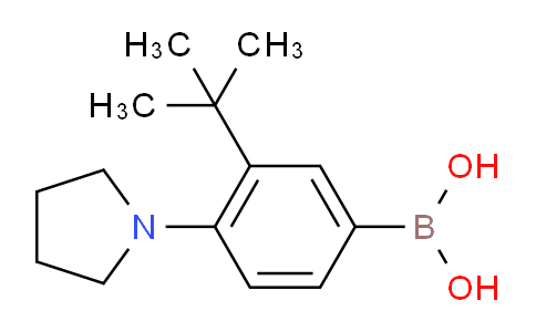 895543-00-7 | 3-Tert-butyl-4-pyrrolidinophenylboronic acid