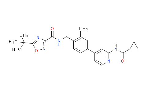 2554376-82-6 | 5-(叔丁基)-N-(4-(2-(环丙烷甲酰胺基)吡啶-4-基)-2-甲基苄基)-1,2,4-恶二唑-3-甲酰胺