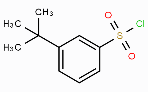 2905-26-2 | 3-叔-丁基苯磺酰氯