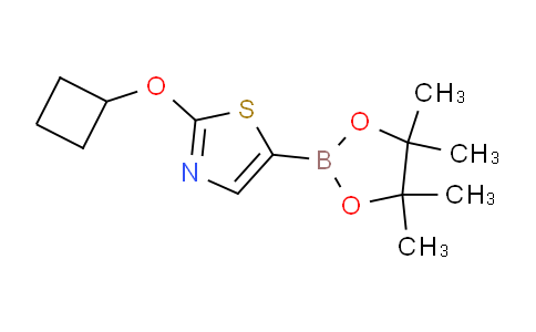 1356391-10-0 | 2-Cyclobutyloxy-5-(4,4,5,5-tetramethyl-1,3,2-dioxaborolan-2-yl)-1,3-thiazole