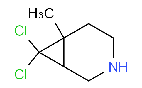 1804129-11-0 | 7,7-dichloro-6-methyl-3-azabicyclo[4.1.0]heptane