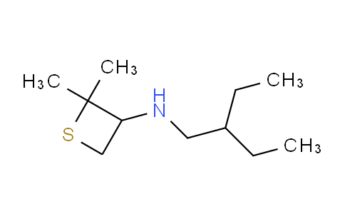 1864816-01-2 | N-(2-乙基丁基)-2,2-二甲基硫杂环丁烷-3-胺