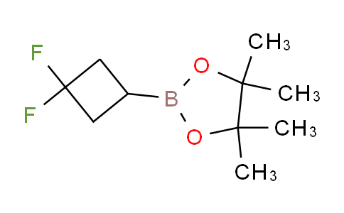 2243345-24-4 | 2-(3,3-二氟环丁基)-4,4,5,5-四甲基-1,3,2-二氧杂硼烷