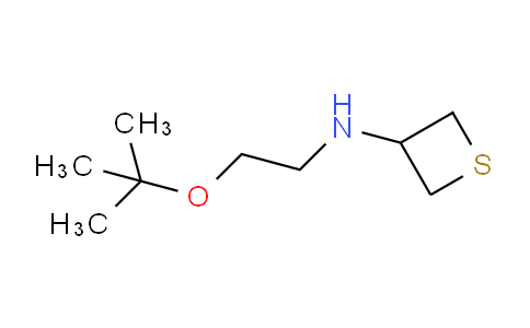 1862633-51-9 | N-[2-(叔丁氧基)乙基]硫杂环丁烷-3-胺