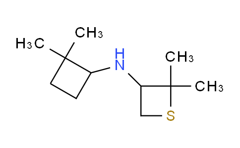 MC26N775 | 1866286-76-1 | N-(2,2-二甲基环丁基)-2,2-二甲基硫杂环丁烷-3-胺
