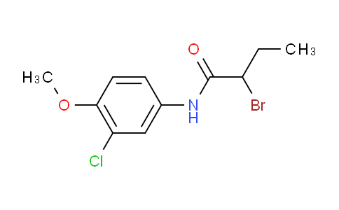 1119451-42-1 | 2-Bromo-N-(3-chloro-4-methoxyphenyl)butanamide