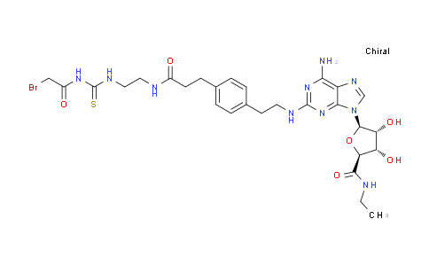 143999-48-8 | β-D-呋喃核糖脲酰胺，1-[6-氨基-2-[[2-[4-[3-[[2-[[[(溴乙酰基)氨基]硫代甲基]氨基]乙基]氨基]-3-氧代丙基]苯基]乙基]氨基]-9H-嘌呤-9-基]-1-脱氧-N-乙基-(9CI)