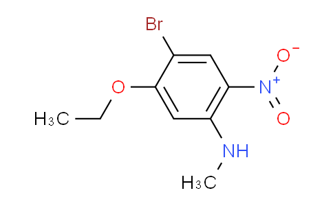MC2C5194 | 1355247-76-5 | 4-bromo-5-ethoxy-N-methyl-2-nitroaniline