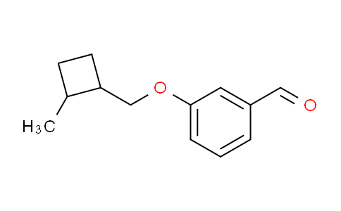 1708037-61-9 | 3-((2-Methylcyclobutyl)methoxy)benzaldehyde