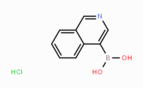 CAS No. 677702-23-7, Isoquinoline-4-boronic acid hydrochloride