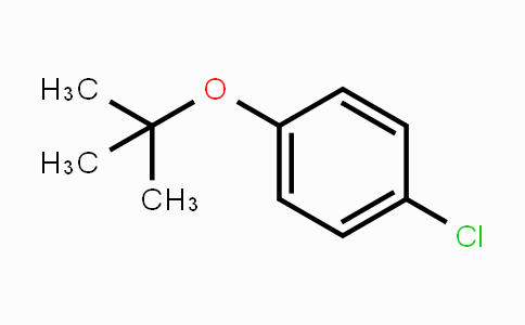 CAS No. 18995-35-2, 1-(tert-Butoxy)-4-chlorobenzene
