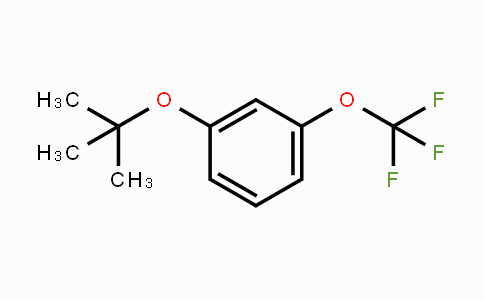 3-Trifluoromethoxy-1-tert-butoxybenzene