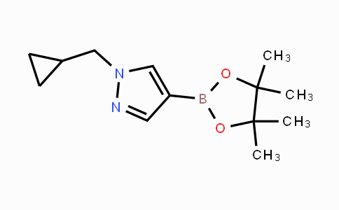 CAS No. 1000801-75-1, 1-(CYCLOPROPYLMETHYL)-4-(4,4,5,5-TETRAMETHYL-1,3,2-DIOXABOROLAN-2-YL)-1H-PYRAZOLE