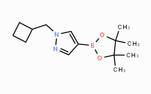 CAS No. 1233526-47-0, 1-(CYCLOBUTYLMETHYL)-4-(4,4,5,5-TETRAMETHYL-1,3,2-DIOXABOROLAN-2-YL)-1H-PYRAZOLE