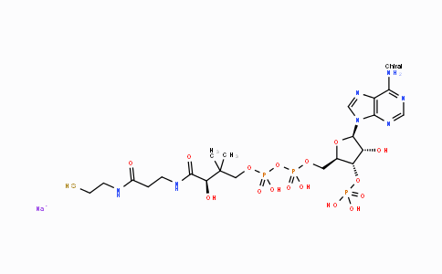 MC428288 | 55672-92-9 | 辅酶 A 钠盐 水合物