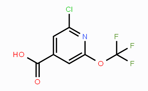 CAS No. 1221171-97-6, 2-Chloro-6-(trifluoromethoxy)isonicotinic acid