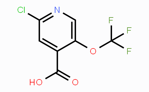CAS No. 1221171-77-2, 2-Chloro-5-(trifluoromethoxy)isonicotinic acid