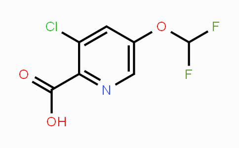 CAS No. 1262860-72-9, 3-Chloro-5-difluoroMethoxy-pyridine-2-carboxylic acid