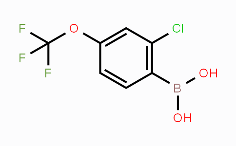 CAS No. 345226-20-2, 2-Chloro-4-trifluoromethoxyphenylboronic acid