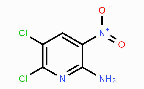 CAS No. 203794-33-6, 5,6-Dichloro-3-nitropyridin-2-amine