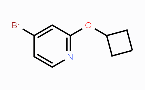 CAS No. 1142194-51-1, 4-Bromo-2-(cyclobutoxy)pyridine