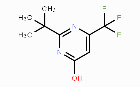 193610-95-6 | 2-tert-Butyl-6-trifluoromethyl-pyrimidin-4-ol