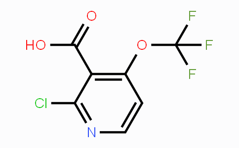 CAS No. 1221172-12-8, 2-Chloro-4-(trifluoromethoxy)pyridine-3-carboxylic acid