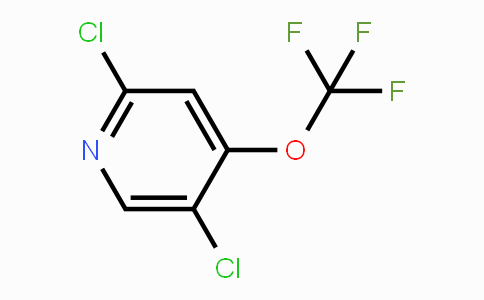 CAS No. 1361495-71-7, 2,5-Dichloro-4-(trifluoromethoxy)pyridine