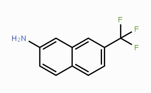 CAS No. 702640-81-1, 7-(Trifluoromethyl)naphthalen-2-amine