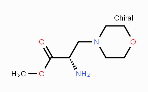 CAS No. 2044710-22-5, 3-(1-Morpholinyl)-L-Ala-OMe