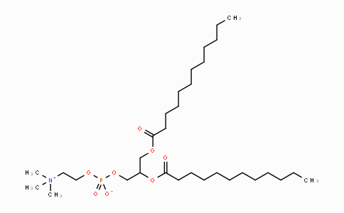 18656-40-1 | 1,2-双十二烷酰-RAC-甘油-3-胆碱磷酸