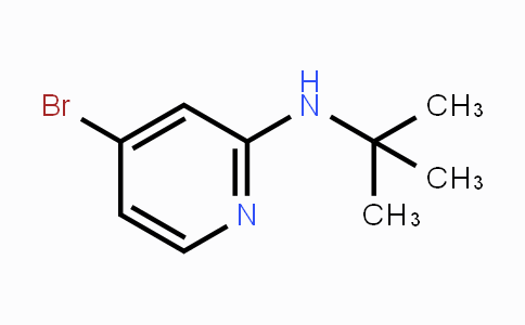 MC441305 | 1256819-02-9 | 4-溴-2-(N-叔丁氨基)吡啶