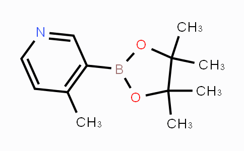 1171891-31-8 | 4-methyl-3-(4,4,5,5-tetramethyl-1,3,2-dioxaborolan-2-yl)pyridine