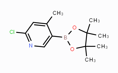 CAS No. 1382851-54-8, 2-chloro-4-methyl-5-(4,4,5,5-tetramethyl-1,3,2-dioxaborolan-2-yl)pyridine