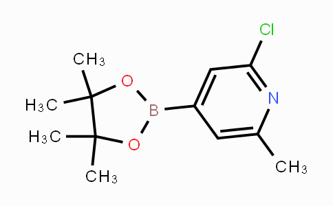 697739-22-3 | 2-chloro-6-methyl-4-(4,4,5,5-tetramethyl-1,3,2-dioxaborolan-2-yl)pyridine