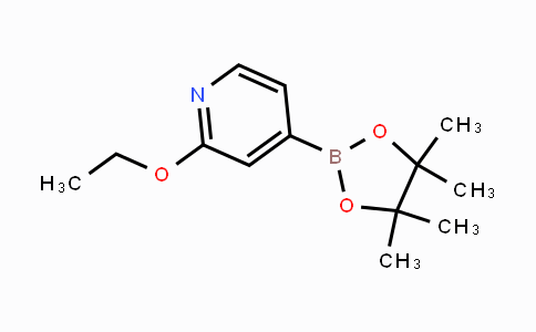 957346-47-3 | 2-ethoxy-4-(4,4,5,5-tetramethyl-1,3,2-dioxaborolan-2-yl)pyridine