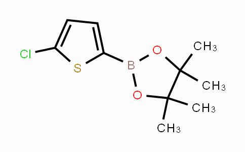 635305-24-7 | 2-(5-chlorothiophen-2-yl)-4,4,5,5-tetramethyl-1,3,2-dioxaborolane