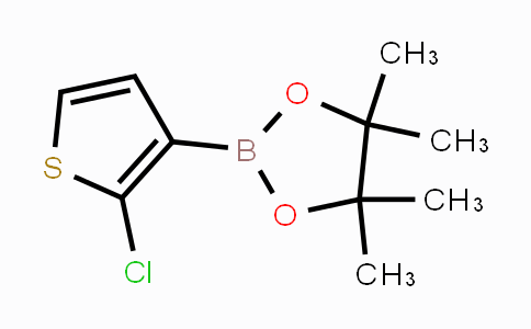 CAS No. 1111096-56-0, 2-(2-chlorothiophen-3-yl)-4,4,5,5-tetramethyl-1,3,2-dioxaborolane