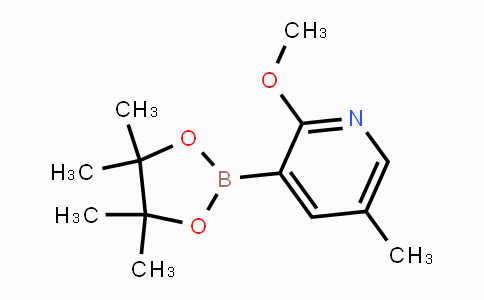 CAS No. 1083168-84-6, 2-methoxy-5-methyl-3-(4,4,5,5-tetramethyl-1,3,2-dioxaborolan-2-yl)pyridine