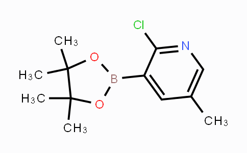 CAS No. 1309982-62-4, 2-chloro-5-methyl-3-(4,4,5,5-tetramethyl-1,3,2-dioxaborolan-2-yl)pyridine