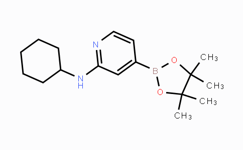CAS No. 1346808-50-1, N-cyclohexyl-4-(4,4,5,5-tetramethyl-1,3,2-dioxaborolan-2-yl)pyridin-2-amine