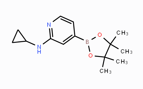 CAS No. 1350918-92-1, N-cyclopropyl-4-(4,4,5,5-tetramethyl-1,3,2-dioxaborolan-2-yl)pyridin-2-amine