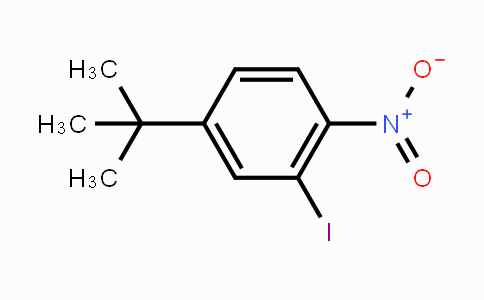942204-75-3 | 4-(tert-butyl)-2-iodo-1-nitrobenzene