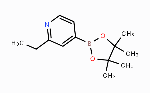 741709-60-4 | 2-ethyl-4-(4,4,5,5-tetramethyl-1,3,2-dioxaborolan-2-yl)pyridine