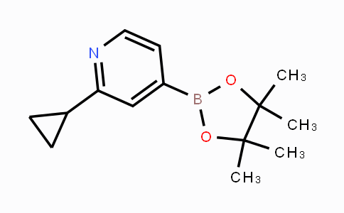 CAS No. 1321518-37-9, 2-cyclopropyl-4-(4,4,5,5-tetramethyl-1,3,2-dioxaborolan-2-yl)pyridine